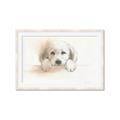 Picture of Cute Puppy _GroupedProduct_Rectangle_Landscape_Framed_Matted_