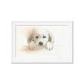 Picture of Cute Puppy _GroupedProduct_Rectangle_Landscape_Framed_Matted_