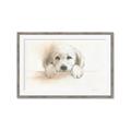 Picture of Cute Puppy _GroupedProduct_Rectangle_Landscape_Framed_Matted_