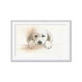 Picture of Cute Puppy _GroupedProduct_Rectangle_Landscape_Framed_Matted_