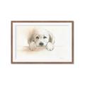 Picture of Cute Puppy _GroupedProduct_Rectangle_Landscape_Framed_Matted_
