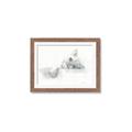 Picture of Cute cat _GroupedProduct_Rectangle_Landscape_Framed_Matted_