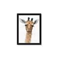 Picture of Nursery Giraffe _GroupedProduct_Rectangle_Portrait_Framed_Matted_