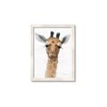 Picture of Nursery Giraffe _GroupedProduct_Rectangle_Portrait_Framed_Matted_