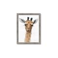 Picture of Nursery Giraffe _GroupedProduct_Rectangle_Portrait_Framed_Matted_