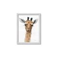 Picture of Nursery Giraffe _GroupedProduct_Rectangle_Portrait_Framed_Matted_