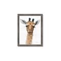 Picture of Nursery Giraffe _GroupedProduct_Rectangle_Portrait_Framed_Matted_
