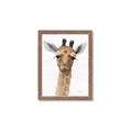 Picture of Nursery Giraffe _GroupedProduct_Rectangle_Portrait_Framed_Matted_