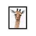 Picture of Nursery Giraffe _GroupedProduct_Rectangle_Portrait_Framed_Matted_