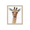 Picture of Nursery Giraffe _GroupedProduct_Rectangle_Portrait_Framed_Matted_