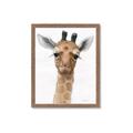 Picture of Nursery Giraffe _GroupedProduct_Rectangle_Portrait_Framed_Matted_