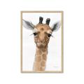 Picture of Nursery Giraffe _GroupedProduct_Rectangle_Portrait_Framed_Matted_