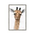Picture of Nursery Giraffe _GroupedProduct_Rectangle_Portrait_Framed_Matted_