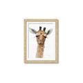 Picture of Nursery Giraffe _GroupedProduct_Rectangle_Portrait_Framed_Matted_