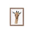 Picture of Nursery Giraffe _GroupedProduct_Rectangle_Portrait_Framed_Matted_