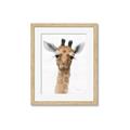 Picture of Nursery Giraffe _GroupedProduct_Rectangle_Portrait_Framed_Matted_