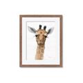 Picture of Nursery Giraffe _GroupedProduct_Rectangle_Portrait_Framed_Matted_