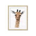 Picture of Nursery Giraffe _GroupedProduct_Rectangle_Portrait_Framed_Matted_