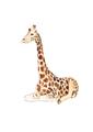 Picture of Cute Baby Giraffe _GroupedProduct_Rectangle_Portrait_Mini_ _GroupedProduct_Rectangle_Portrait_Unframed_Print_Only_