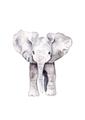 Picture of Cute Baby Elephant _GroupedProduct_Rectangle_Portrait_Mini_ _GroupedProduct_Rectangle_Portrait_Unframed_Print_Only_