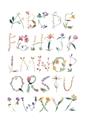 Picture of Botanical alphabet _GroupedProduct_Rectangle_Portrait_Mini_ _GroupedProduct_Rectangle_Portrait_Unframed_Print_Only_