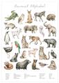 Picture of African wild animals II _GroupedProduct_Rectangle_Portrait_Mini_ _GroupedProduct_Rectangle_Portrait_Unframed_Print_Only_