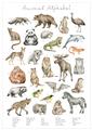 Picture of Cute Wild Animals I _GroupedProduct_Rectangle_Portrait_Mini_ _GroupedProduct_Rectangle_Portrait_Unframed_Print_Only_