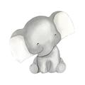 Picture of Lovely Elephant _GroupedProduct_Square_Mini_ _GroupedProduct_Square_Unframed_Print_Only_