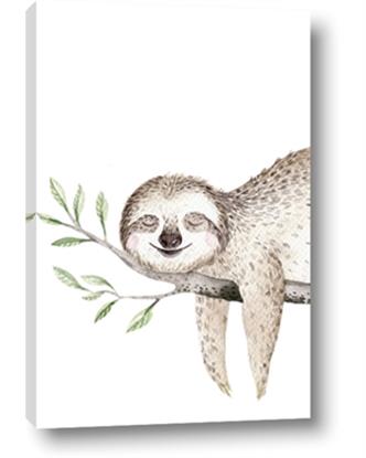 Picture of Kid sloth
