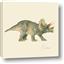 Picture of Triceratops