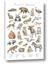 Picture of Cute Wild Animals I