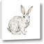 Picture of Forest Bunny