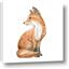 Picture of Forest Fox