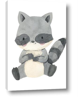 Picture of Woodland animals Raccoon