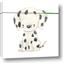Picture of Dalmatian