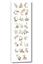 Picture of Woodland animals Alphabet