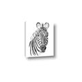 Picture of Sketched Zebras _GroupedProduct_Rectangle_Portrait_Mini_ _GroupedProduct_Rectangle_Portrait_Canvas_