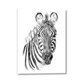 Picture of Sketched Zebras _GroupedProduct_Rectangle_Portrait_Mini_ _GroupedProduct_Rectangle_Portrait_Canvas_
