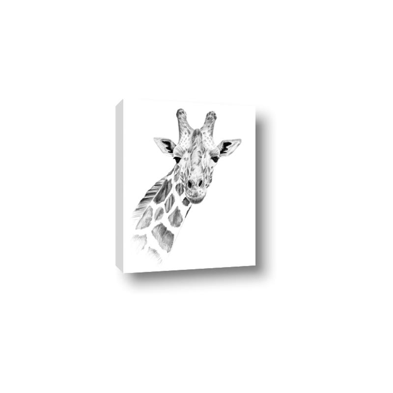 Picture of Sketched Giraffe _GroupedProduct_Rectangle_Portrait_Mini_ _GroupedProduct_Rectangle_Portrait_Canvas_