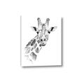 Picture of Sketched Giraffe _GroupedProduct_Rectangle_Portrait_Mini_ _GroupedProduct_Rectangle_Portrait_Canvas_