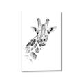 Picture of Sketched Giraffe _GroupedProduct_Rectangle_Portrait_Mini_ _GroupedProduct_Rectangle_Portrait_Canvas_