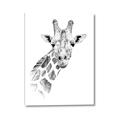 Picture of Sketched Giraffe _GroupedProduct_Rectangle_Portrait_Mini_ _GroupedProduct_Rectangle_Portrait_Canvas_