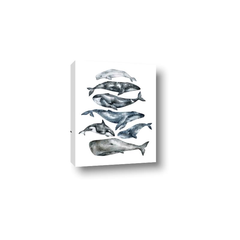 Picture of Fish Pattern _GroupedProduct_Rectangle_Portrait_Mini_ _GroupedProduct_Rectangle_Portrait_Canvas_