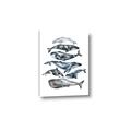 Picture of Fish Pattern _GroupedProduct_Rectangle_Portrait_Mini_ _GroupedProduct_Rectangle_Portrait_Canvas_
