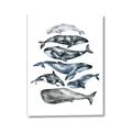Picture of Fish Pattern _GroupedProduct_Rectangle_Portrait_Mini_ _GroupedProduct_Rectangle_Portrait_Canvas_