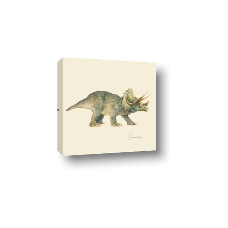 Picture of Triceratops _GroupedProduct_Square_Mini_ _GroupedProduct_Square_Canvas_