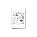 Picture of Cute Wild Animals II _GroupedProduct_Rectangle_Portrait_Mini_ _GroupedProduct_Rectangle_Portrait_Canvas_