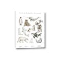 Picture of Cute Wild Animals II _GroupedProduct_Rectangle_Portrait_Mini_ _GroupedProduct_Rectangle_Portrait_Canvas_