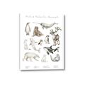 Picture of Cute Wild Animals II _GroupedProduct_Rectangle_Portrait_Mini_ _GroupedProduct_Rectangle_Portrait_Canvas_