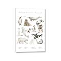 Picture of Cute Wild Animals II _GroupedProduct_Rectangle_Portrait_Mini_ _GroupedProduct_Rectangle_Portrait_Canvas_